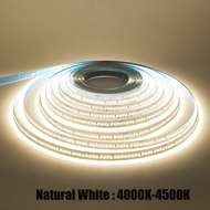 AC 110V 220V LED Strip With 2PIN Cable 240Leds/M IP44 3000K 4000K 7000K Self Adhesive Flexible Ribbo