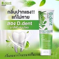 D.dent Herbal Toothpaste 5 in 1 Perpermint 100 g.  ยาสีฟันดีเดนท์