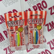 Starlit Metal Jig SMJ309 30g/40g/60g Fishing Jig