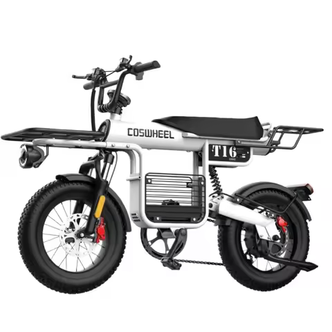 Coswheel T16 Electric bike 1000W motor 48V 20ah lithium battery 50N.m Electric bicycle 16 inch tires