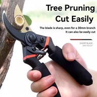 Pokok Bunga Trimmer Pruning Gardening Tools Scissors Cutter Branches Plant Shear
