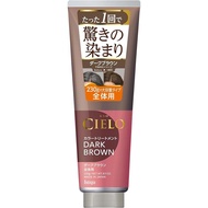 日本Cielo白发用染发护发素 Japan Hoyu Cielo Color Hair Dye Treatment for grey hair 230g