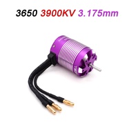 YSIDO 3650 3660 3674 Sensorless Brushless Motor 4 Poles 3.175/5.0mm for 1:8 1:10 WLtoys Tamiya Traxx