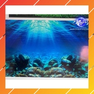 3d painting. stickers for aquariums, arowana fish tanks (back painting)