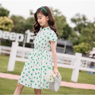 Dress Green Heart Shape Cute/G48/480