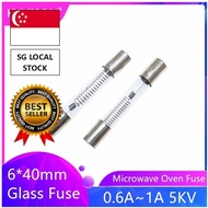 [SG FREE 🚚]10pcs/Lot 5KV Microwave Oven High Voltage Fuse0.6A0.65A 0.7A0.75A0.8A 0.85A0.9A Circuit B