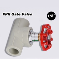 PPR Gate Valve 1/2" PPR Ball Valve Check Valve