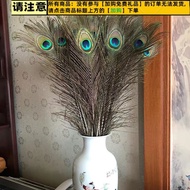 AT/ Xu Shansi Peacock Tail Feather Peacock Feather Wedding Peacock Feather Tail Natural Peacock Hair