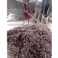 New Tepung Kepala Udang Murni kemasan 50 kg 100 % Asli / tepung kepala udang / tku / pakan ternak / 