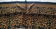 kain batik sogan paris