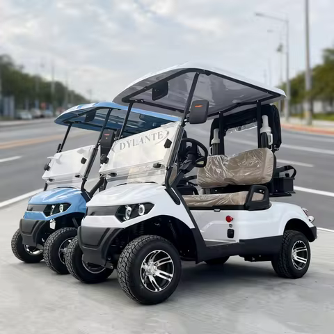 High Quality 2 4 6 8 10 Seat Pure Electric Sightseeing Golf Cart 4000W 5000w Suitable For Park/Schoo