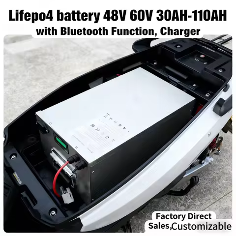 BMS-Equipped 48V (16S)/60V (20S) Lifepo4 Battery (30Ah/50Ah/60Ah/90Ah/110Ah) - Direct Factory Supply