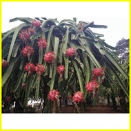 ∥ ♒ 🅼 CHC Agritech FARMERS FRIEND