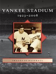 Yankee Stadium Gary Hermalyn