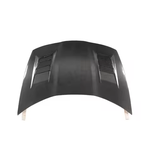 Car Exterior Accessories Body Parts Engine Cover Hood Type-R FN2 JS Style Front Bonnet For Honda Civ