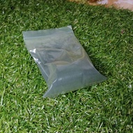 Spirulina Powder 10g