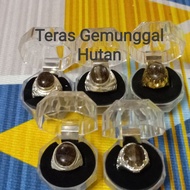 Cincin teras gemunggal hutan