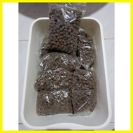 ♞Hydroton Clay Pebbles 1sack