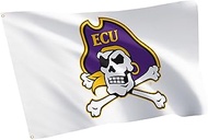 Desert Cactus East Carolina University 100% Polyester Indoor Outdoor 3x5 feet Banner Pirates ECU (Fl