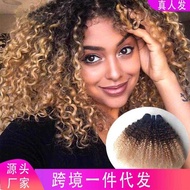 Afro kinky curly T1b/4/27 Real Wig Explosion curly Hair Curtain T Color Wig Hair Curtain