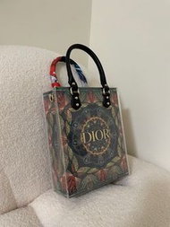 Dior聖誕節限定紙袋防水改造包手提包肩背包