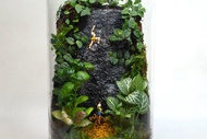 【微景觀】蘚地試煉 - 苔蘚組盆/交換禮物/攀岩/生態瓶