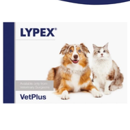 LYPEX 15 capsule PANCREATIC ENZYME for DOG and CAT