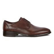 ECCO CITYTRAY MEN'S SHOES