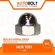 M6 Cap Nut Key 10 mm Nut Nut Key M 6 K 10 K10