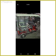 Trapal for ebike 008