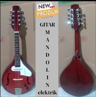 gitar akustik mandolin elektrik terlaris