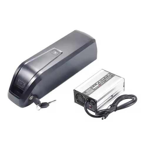 Hailong 48V 16Ah 5pin Downtube Battery Pack Lithium Electric Bike Battery with 30A BMS for 750W Moto