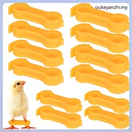 12 Pcs Strap Where Chicken Leg Alignment Aid Brace Baby Splay Hobble