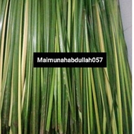 Daun Palas segar Kedah/ikut set.