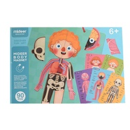 MiDeer Body Parts Magnet 90 PCs - Learn about Body parts anatomy