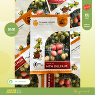 BENIH BIBIT TOMAT MTM DELTA F1 10 GRAM ORIGINAL PACK Tomat besar khusus daerah pegunungan