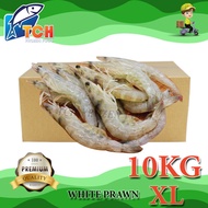 UDANG PUTIH SAIZ (XL), WHITE PRAWN SIZE XL, TCH FROZEN FOOD, FRESH FROZEN SEAFOOD, WHOLESALE SUPPLIE