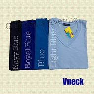 Blue Corner Plain Shirt (Vneck - Blue and other colors)