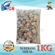 (IQF) ISI KERANG SIZE XL, CLAM MEAT XL, TCH FROZEN FOOD, FRESH FROZEN SEAFOOD, WHOLESALE SUPPLIER, F