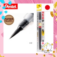 Pentel Brush Pen 5Types, Medium Tip, Water-based dyes and pigments (XFL3L,XFL2U,XFL2L,XFP6L ,XFP9L)[