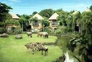 Paket Bali Safari & Marine park + ATV Ride Adventure by Bali Best Adventure