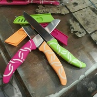 Stainless Sheath Fruit Knife