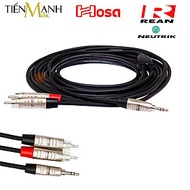 Dây Cáp Chia Tín Hiệu Chữ Y Hosa Rean by Neutrik Pro Đầu 3ly Stereo TRS Sang 2 Hoa Sen RCA HMR-003Y,