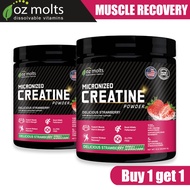 Ozmolts Strawberry Flavor Creatine Powder muscle Protein Powder Creatine Monohydrate Powder 300g