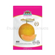 Yellow Emperor Cantaloupe 80 Seeds