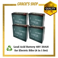 High Quality Electric Bicycle E Bike Electric Scooter Battery 48V20AH 4 in 1 set 电动车电瓶车电动脚车电池