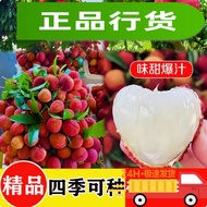 Lychee Seeds New Fruit Picking Tree Seeds Potted Fruit Fruit Tree Fruit Vegetable Seeds Four Seasons