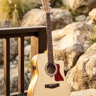 Acoustic electric guitar Original dluxe DW110 preamp fishman mn