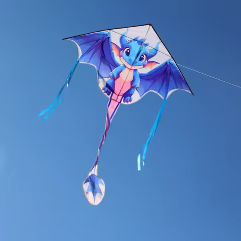 Dragon kites Children kites flying ripstop nylon fabric outdoor fun toys sports beach kites factory 