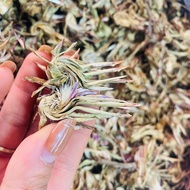 Hoa atiso xanh SAPA sấy khô loại 1 thượng hạng bông actiso Đà Lạt giúp tăng cường chức năng gan đào